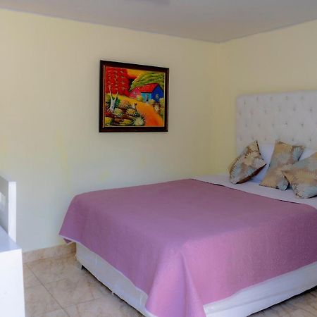 Hotel Anedi La Vega Bagian luar foto