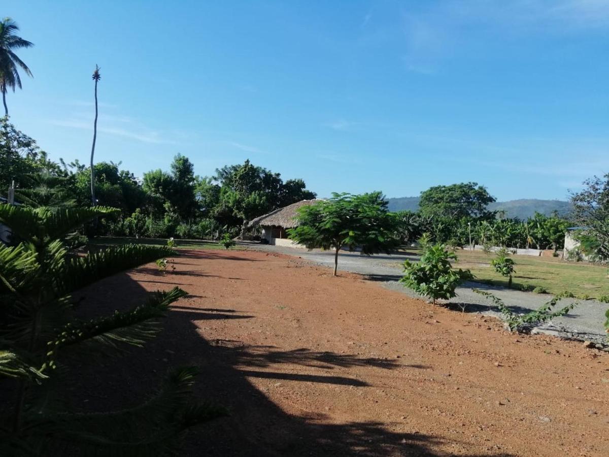 Hotel Anedi La Vega Bagian luar foto